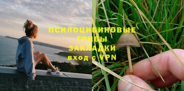 синтетический гашиш Алексин